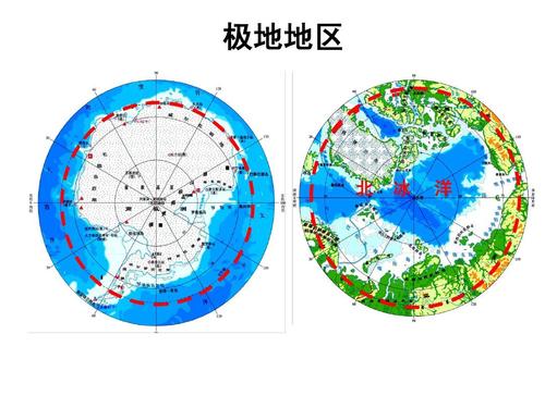 动物怎样过冬（南北两极的动物为什么能抵御寒冷）  