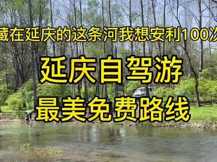 延庆自驾游最美免费路线，森林、草地、潺潺的溪流，可以拍照、玩水，露营，野餐，徒步、还能打天然的山泉水，